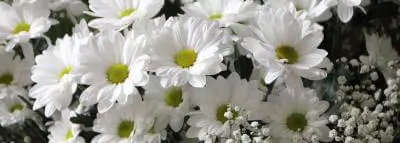 fleurs-deces