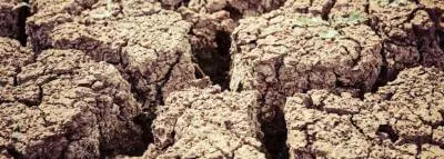 sécheresse-fissures-sol